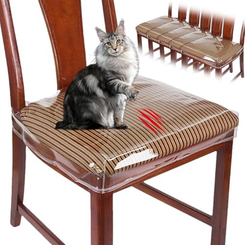 Pack plastic seat covers for - plastic,